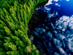 Metsä- ja järviaisema taivaalta kuvattuna. Kuva Kuvapankki: Shutterstock